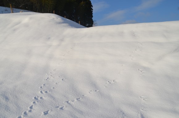 c0202242_09132948.jpg