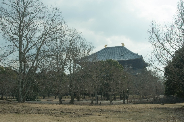 f0158043_22195635.jpg