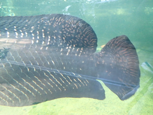 e0128144_14102149.jpg
