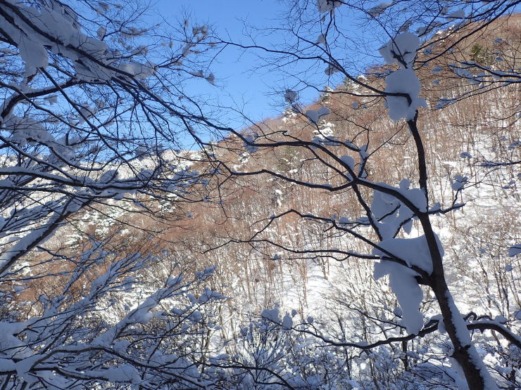 雪の大万木山②_f0214649_05144745.jpg