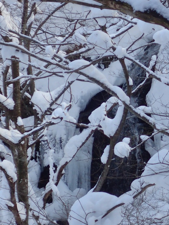 f0214649_05152151.jpg