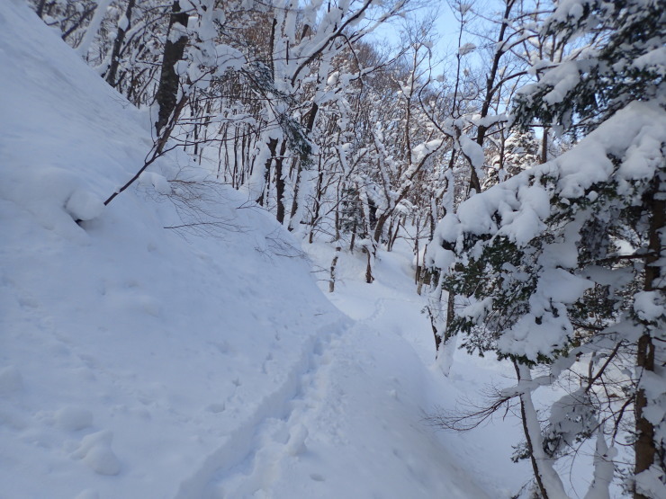 雪の大万木山②_f0214649_05200069.jpg