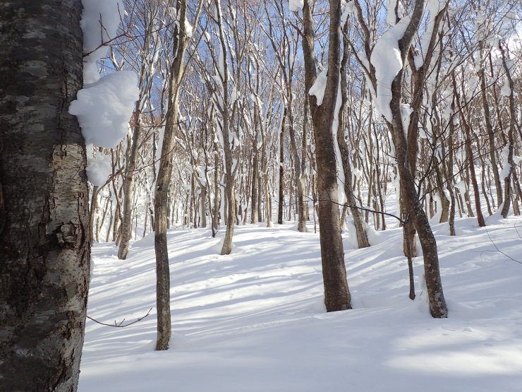 雪の大万木山②_f0214649_05222216.jpg