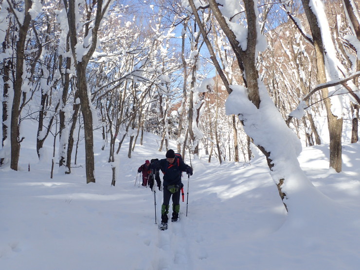 雪の大万木山②_f0214649_05252328.jpg