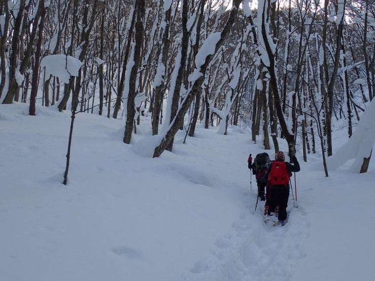 雪の大万木山②_f0214649_05254852.jpg