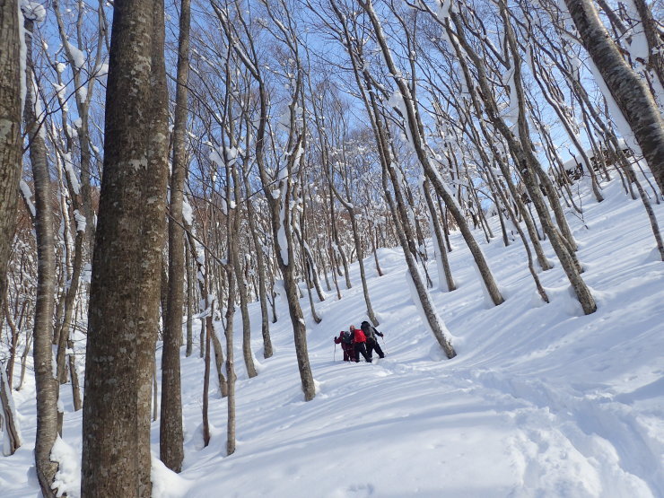 雪の大万木山②_f0214649_05302282.jpg