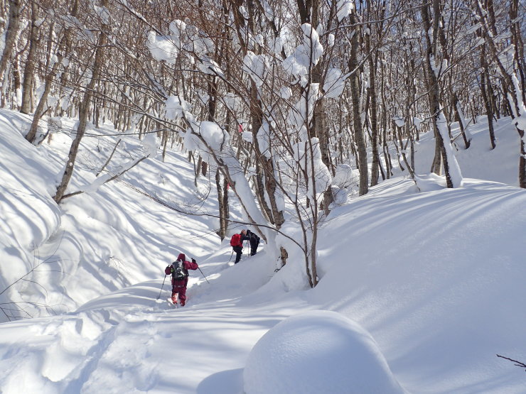 雪の大万木山②_f0214649_05353539.jpg