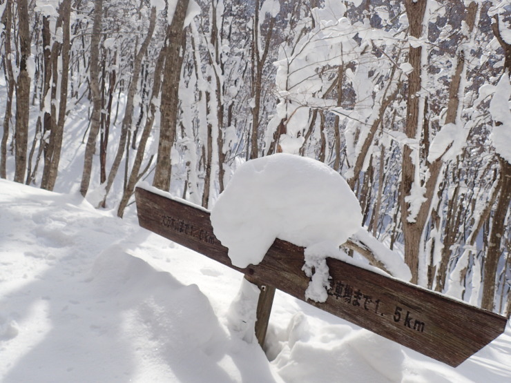 雪の大万木山②_f0214649_05371628.jpg