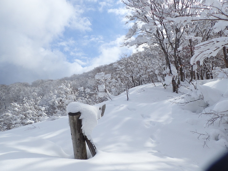 雪の大万木山②_f0214649_05415096.jpg