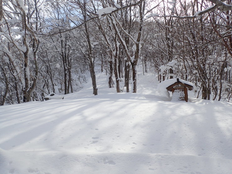 雪の大万木山②_f0214649_05463623.jpg