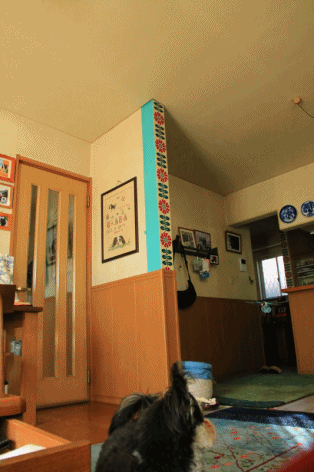 c0145250_10360145.gif