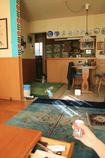 c0145250_10360564.gif