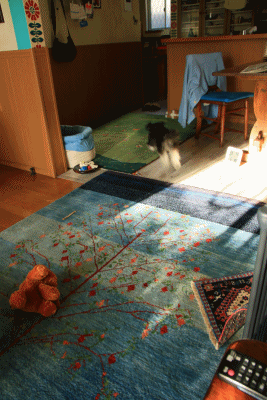 c0145250_10361529.gif