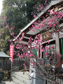 節分_a0061057_1835481.jpg