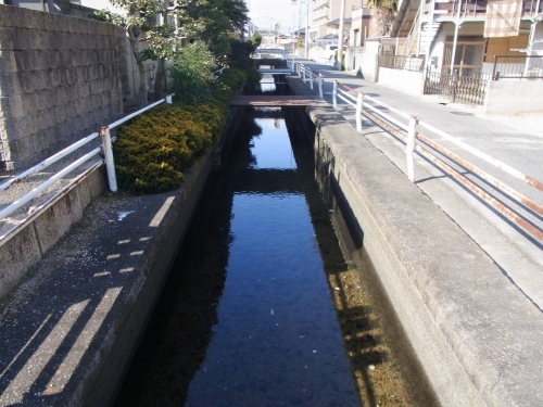 a0187861_14294421.jpg
