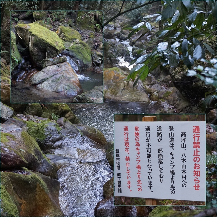 筑豊の山 高坪山 ボタ山 登山と節分草 そうだ 山に登ろう 筑豊の山 高坪山 ボタ山 登山と節分草 そうだ 山に登ろう