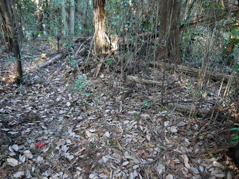 【北鎌倉六国見山の赤道考】③かつての農道、今は市民の散策路_c0014967_10171043.jpg