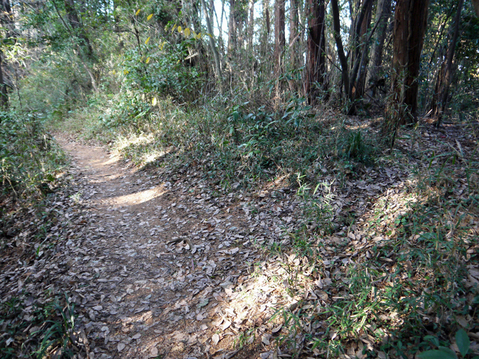 【北鎌倉六国見山の赤道考】③かつての農道、今は市民の散策路_c0014967_10174214.jpg