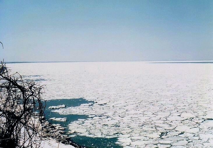 a0275468_15073703.jpg