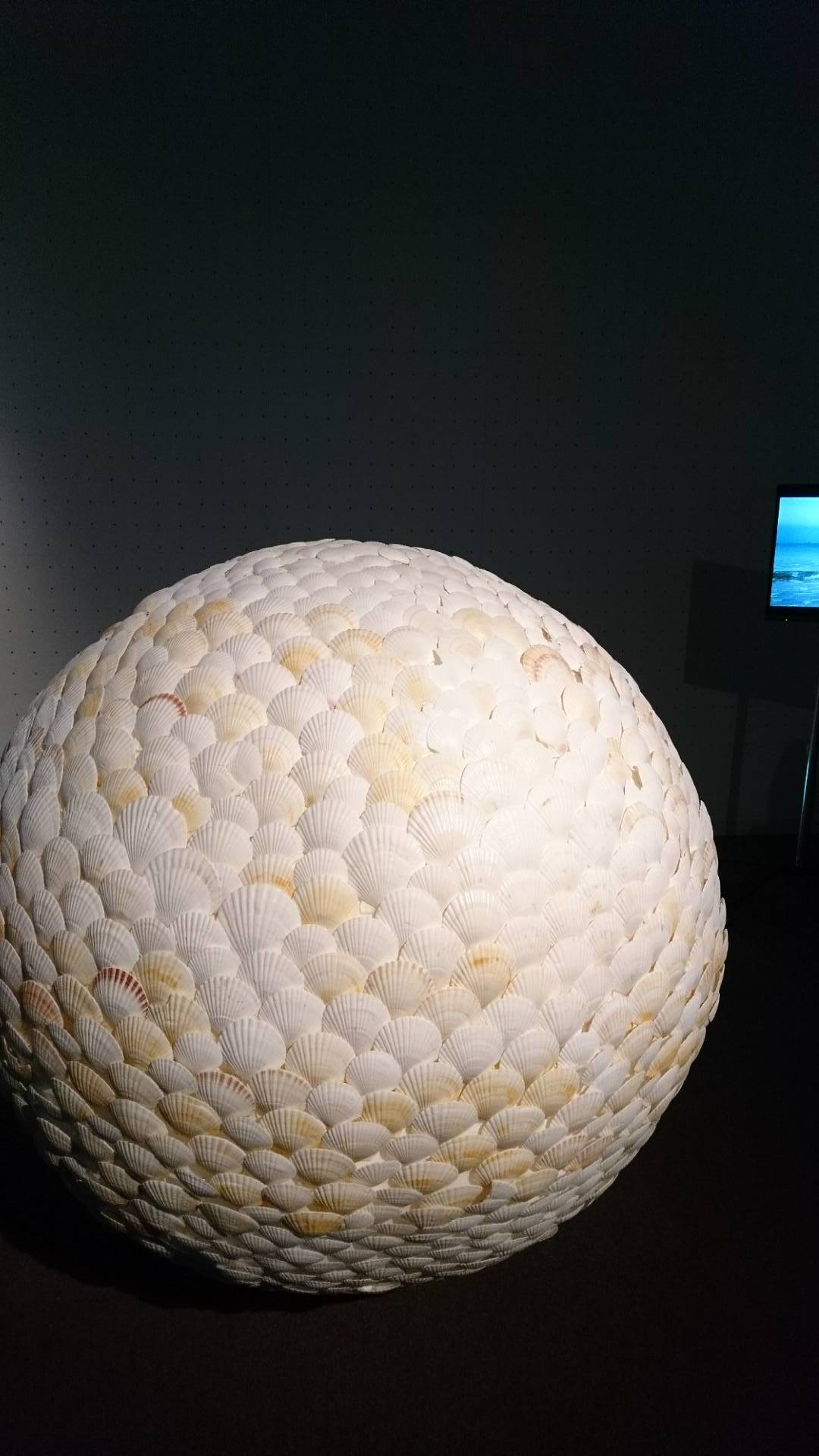 Photographs of 第66回 東京藝術大学 卒業・修了作品展_c0002171_18002618.jpg