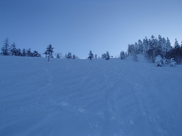 f0130376_17134461.jpg