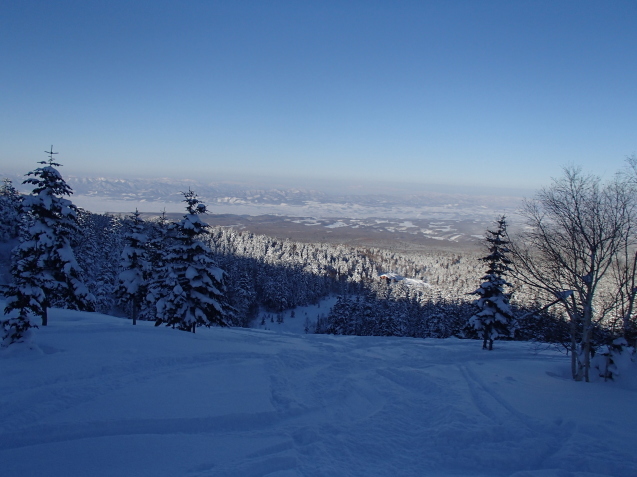 f0130376_17155540.jpg