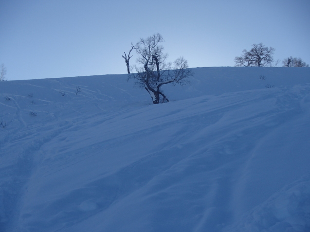 f0130376_17191517.jpg
