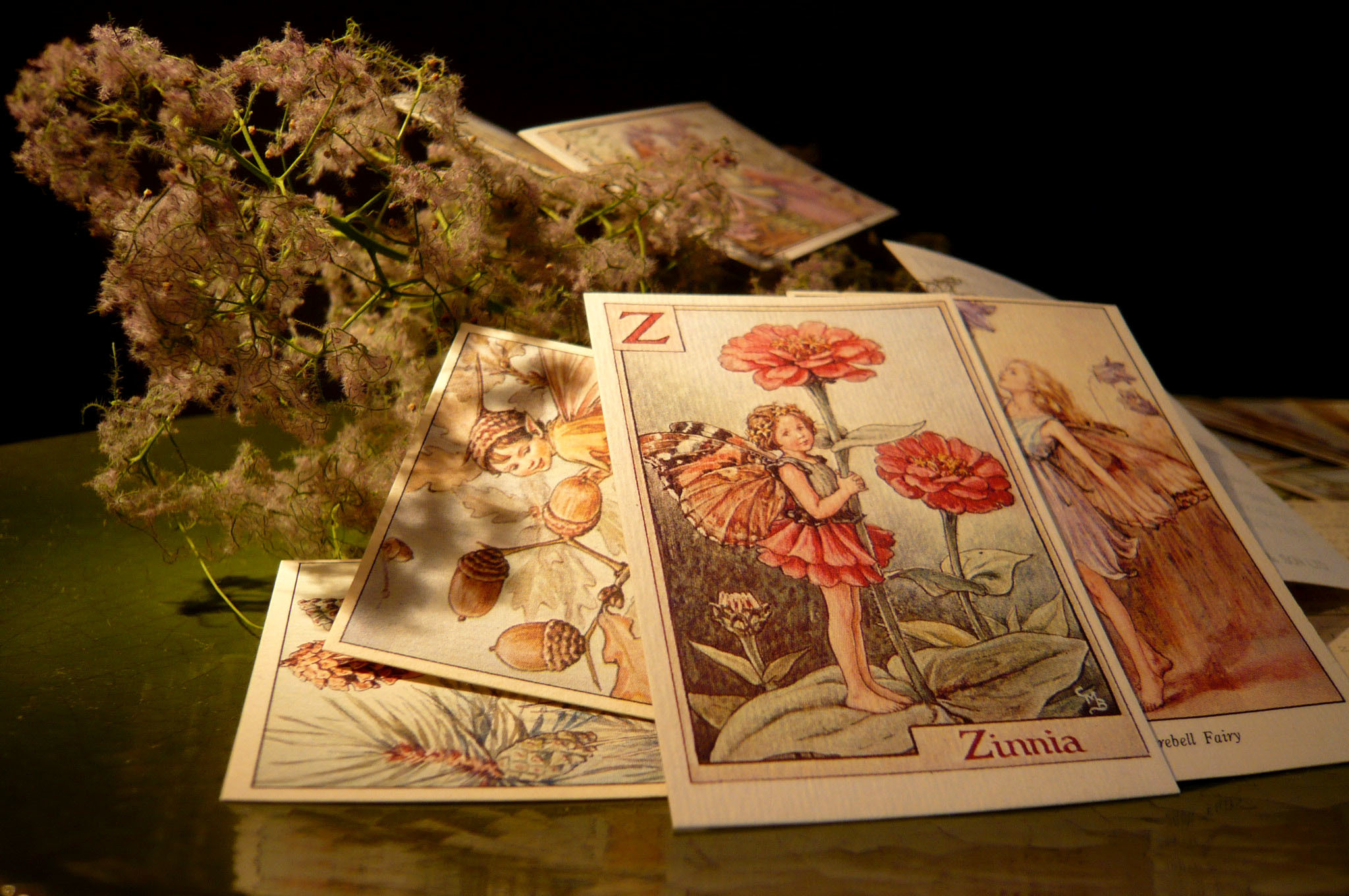 妖精たちのティーパーティ Fiore Spazio 花便り 妖精たちのティーパーティ Fiore Spazio 花便り