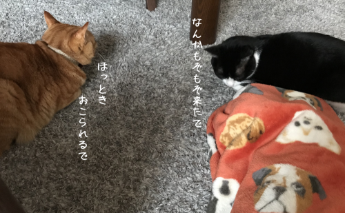 a0216583_11184838.png