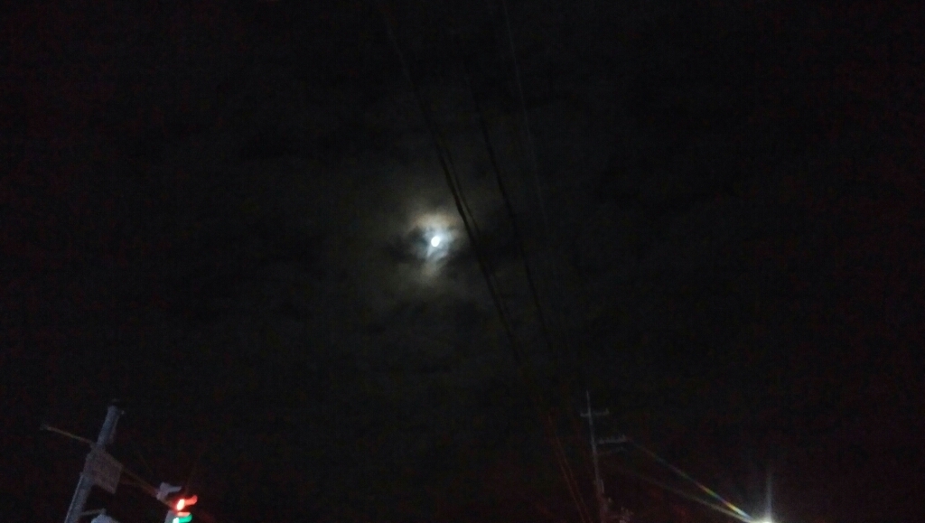 a0348193_20165144.jpg