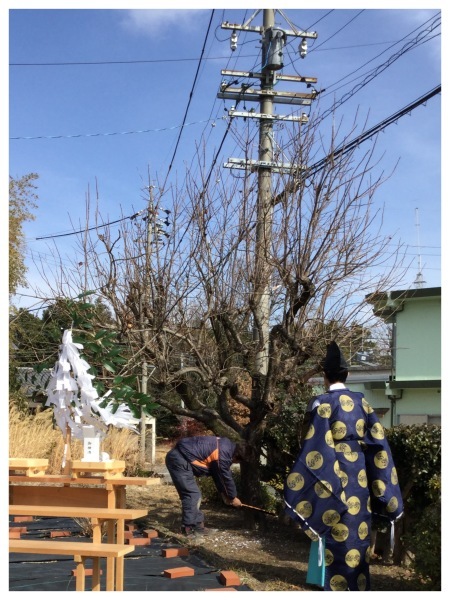 柿の木の伐採 御祈祷_e0218793_22161918.jpeg