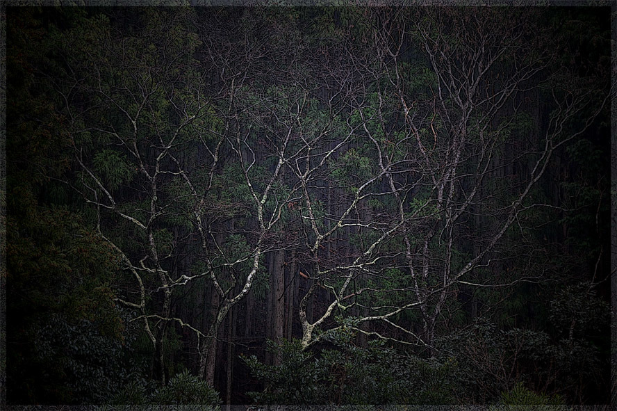 c0310894_10312922.jpg
