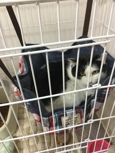 d0179994_19025980.jpeg