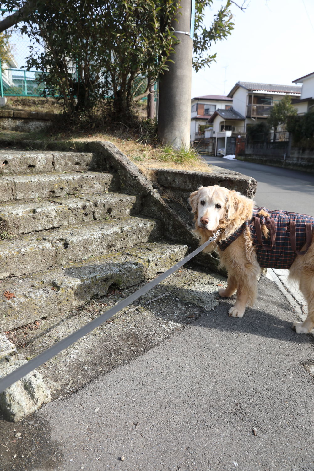 大きな野望を淡々と♪_b0275998_17545583.jpg