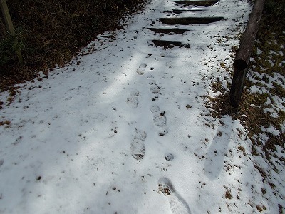 f0308898_20002388.jpg