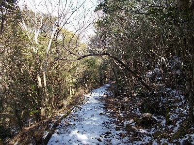 f0308898_20061214.jpg