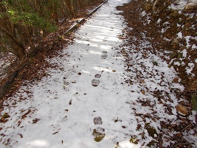 f0308898_20061821.jpg