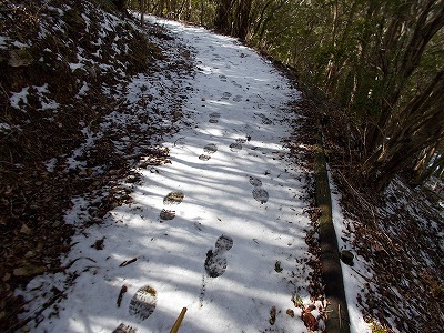 f0308898_20062643.jpg