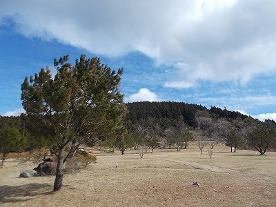f0308898_20084937.jpg