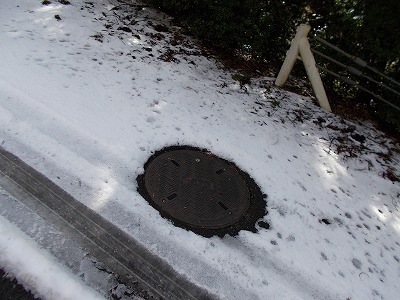 f0308898_20093537.jpg