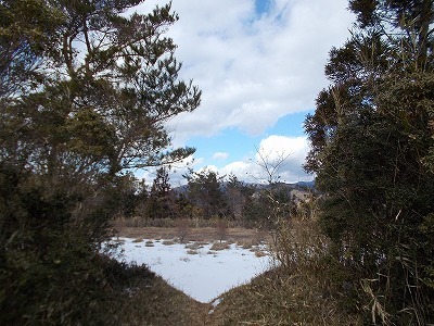f0308898_20143063.jpg