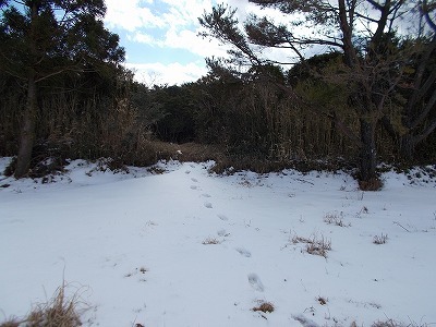 f0308898_20151427.jpg