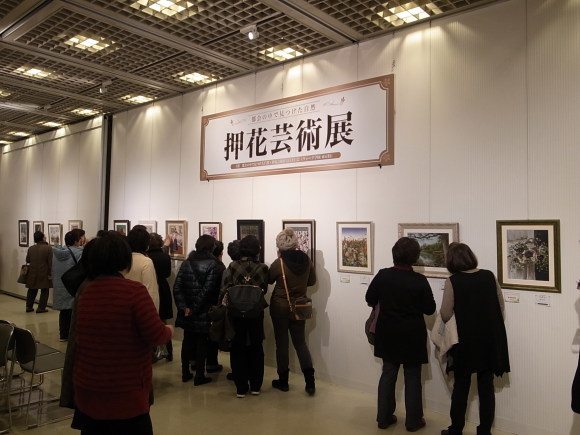 第17回都会の中で見つけた自然・押花芸術展3月1日から開催！_d0238101_15502119.jpg