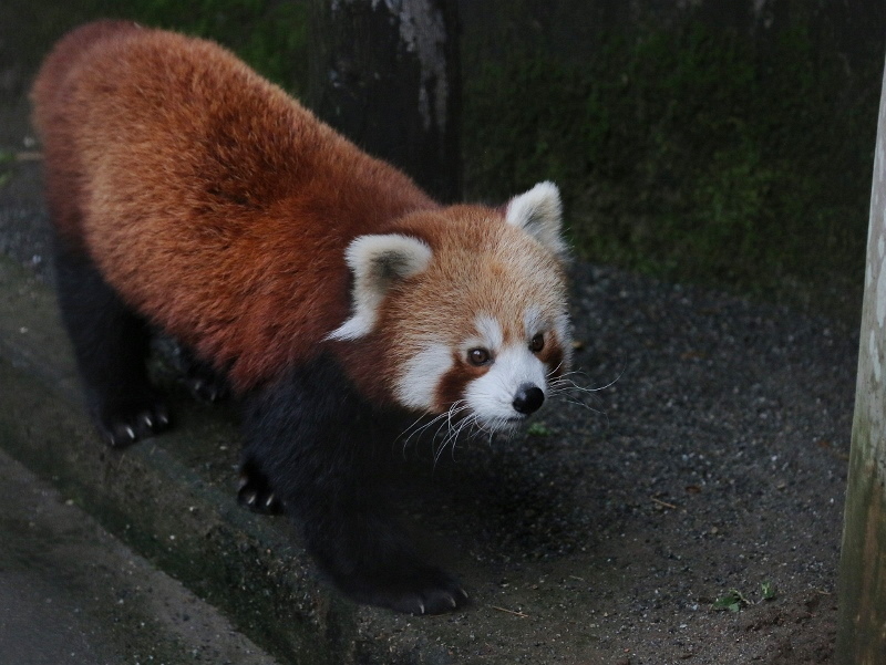 a0306502_22003385.jpg