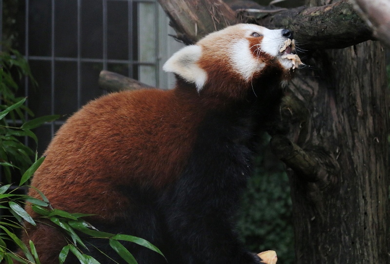 a0306502_22005748.jpg