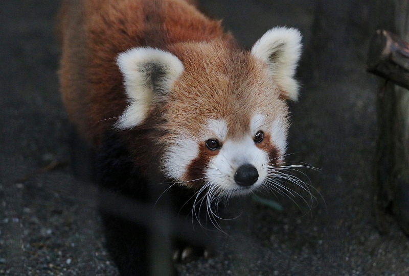 a0306502_22041013.jpg