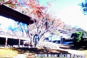 山口蓬春　絵に年をとらせるな ＠日曜美術館_b0044404_21251947.jpg