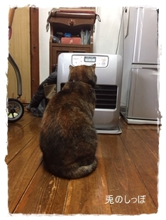 c0190707_23072389.jpeg