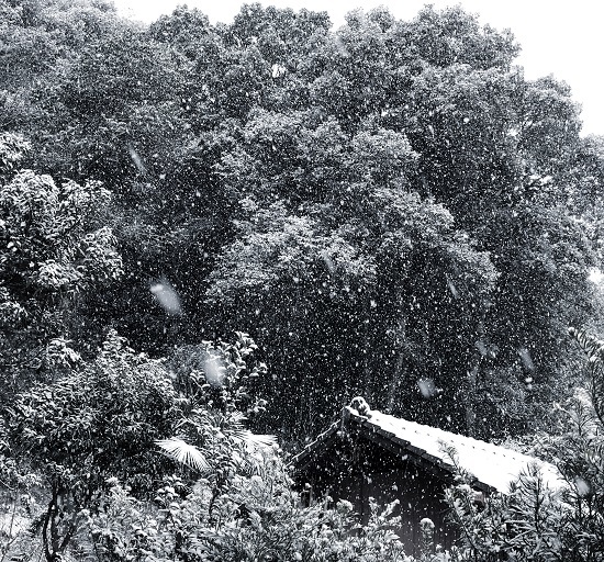 f0364707_14235636.jpg