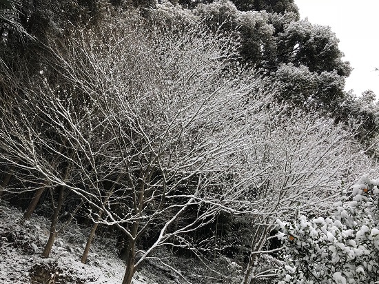 f0364707_14251340.jpg